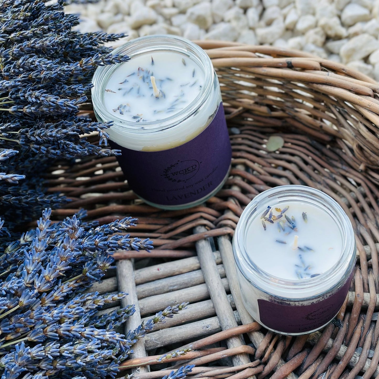 Lavender