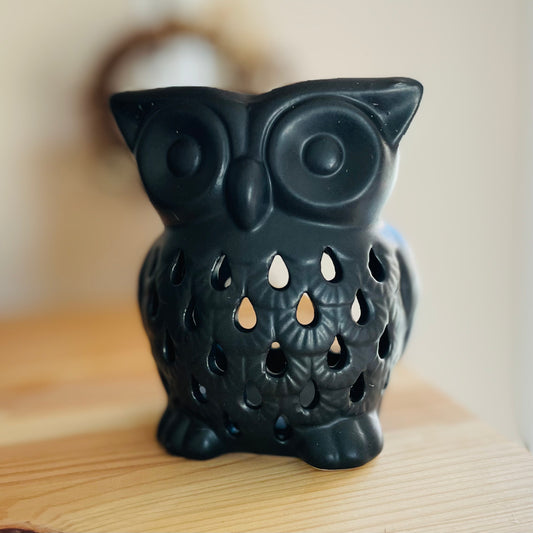 Midnight Owl Wasbrander